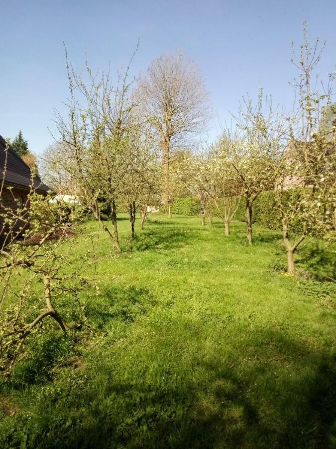 Gite Du Montagnard Oxelaere Екстериор снимка
