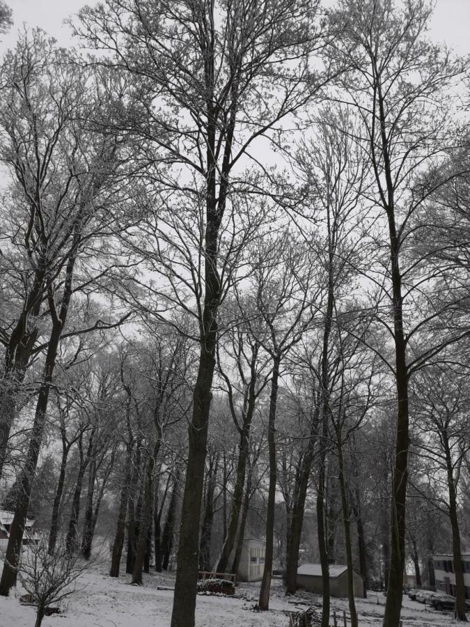 Gite Du Montagnard Oxelaere Екстериор снимка